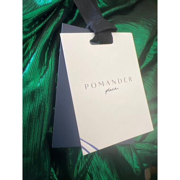 TUCKERNUCK Pomander Place Emerald Crinkle Lurex Lillith Dress NWT Size Medium - Picture 9 of 9